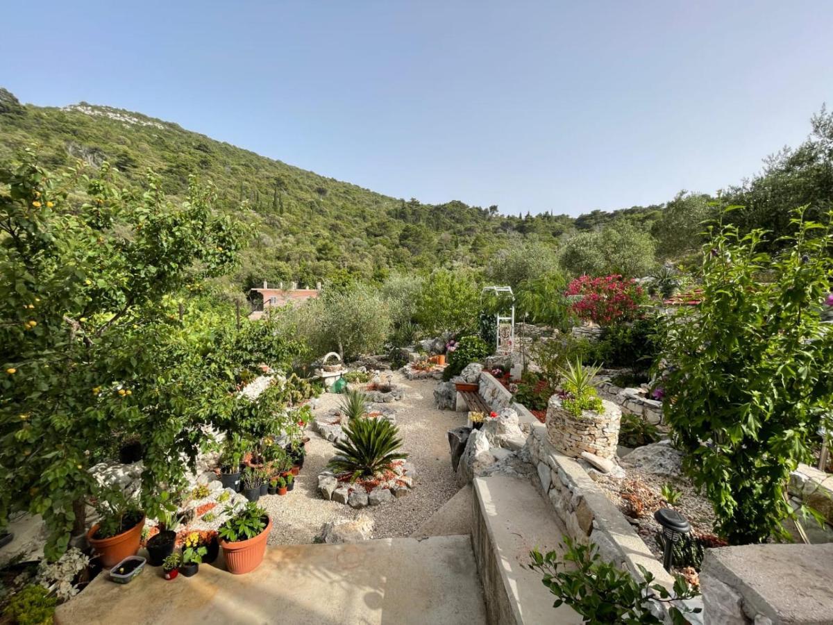 Apartments Leviana Saplunara Dış mekan fotoğraf